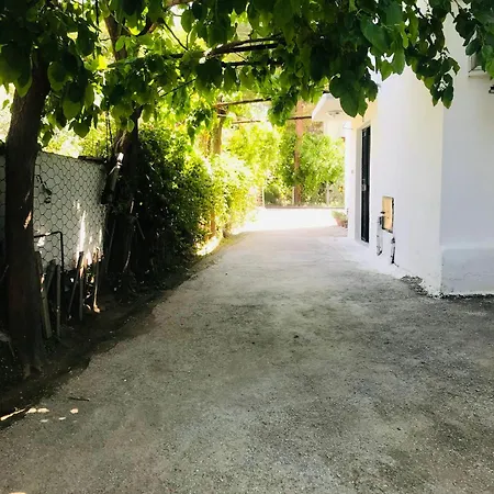 Apartment White House Tam Donanimli Bahceli Bueyuek Ev