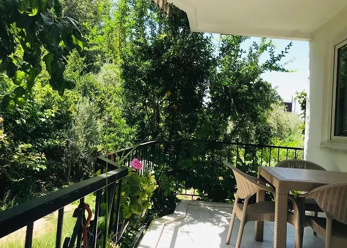 White House * Pamukkale