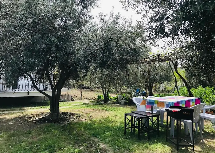 White House Apartamento *